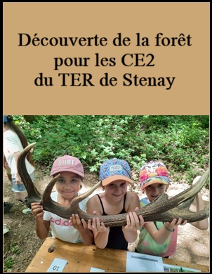 Découverte de la forêt pour les CE2 du TER de Stenay